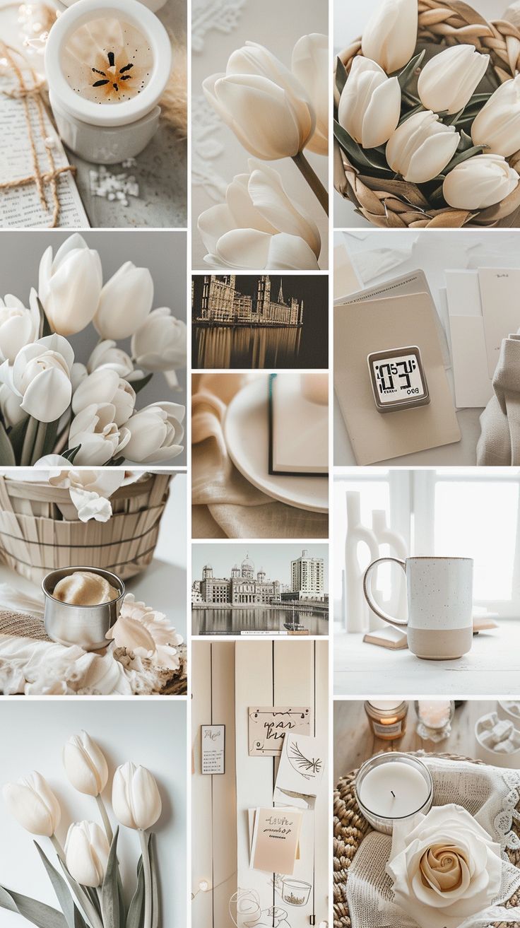 Portfolio Basics: Getting Started